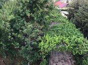 Сдаётся 5-комн. дом/дача 190 м², пос. Новханы, photo 7 from 8