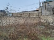 Продаётся  участок 12 сот, пос. Пиршаги, photo 5 from 5