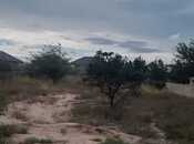 Продаётся  участок 20 сот, м. Насими, photo 6 from 8