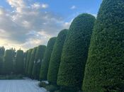 Продаётся 7-комн. дом/дача 400 м², пос. Новханы, photo 2 from 8