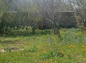 6 otaqlı həyət evi/bağ evi - İsmayıllı - 220 m²