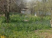 6 otaqlı həyət evi/bağ evi - İsmayıllı - 220 m²