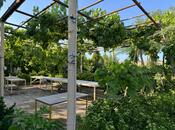 Объявление №6065372 - Баку, пос. Нардаран, 4-комн., 200 м²