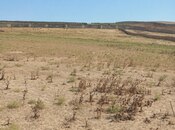 Elan №6065396 - Bakı, Mehdiabad q., 40 sot