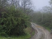 Elan №6065403 - Qusar, Qusar, 12 sot