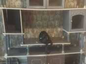 Satılır 2 otaqlı köhnə tikili 60 m², Əhmədli q., photo 2 from 8