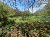 Продаётся  участок 20 сот, photo 7 from 8