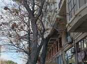 Satılır 2 otaqlı yeni tikili 105 m², Nərimanov r., photo 5 from 5