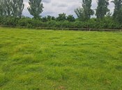 Объявление №6065686 - Габала, Габала, 71 сот