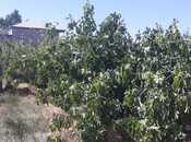 Satılır  torpaq 15 sot, Novxanı q., photo 7 from 7