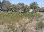 Satılır  torpaq 15 sot, Novxanı q., photo 6 from 7