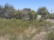 Satılır  torpaq 15 sot, Novxanı q., photo 1 from 7