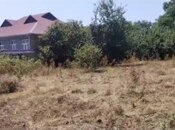 Объявление №6065250 - Габала, Габала, 5 сот