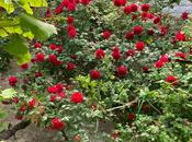 Продаётся 5-комн. дом/дача 153 м², photo 4 from 8