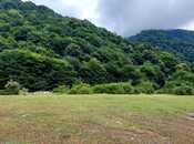 Объявление №6066386 - Габала, Габала, 20.6 сот