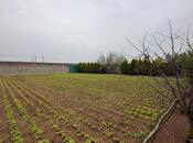 Elan №6066434 - Bakı, Türkan q., 3 otaqlı, 220 m²