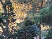 Продаётся 3-комн. вторичка 85 м², м. Иншаатчылар, photo 2 from 8