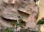 Satılır 6 otaqlı həyət evi/bağ evi 400 m², Badamdar q., photo 6 from 8