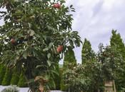 Сдаётся 5-комн. дом/дача 250 м², пос. Бильгях, photo 7 from 8