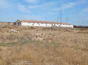 Объявление №6067224 - Баку, пос. Гала, 480 м²