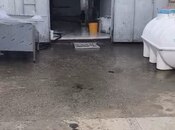 Obyekt - İmişli - 10000 m²