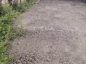 Obyekt - İmişli - 10000 m²