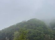 Объявление №6067482 - Габала, Габала, 5 сот