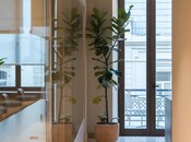 5 otaqlı ofis - Sahil m. - 275 m²