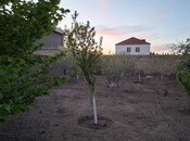 Объявление №5981210 - Баку, пос. Новханы, 6 сот