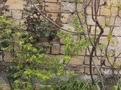 2-комн. дом/дача - пос. Масазыр - 40 м²