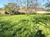 Elan №6068270 - Qəbələ, Qəbələ, 6.5 sot