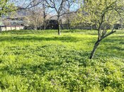 Torpaq - Qəbələ - 6.5 sot
