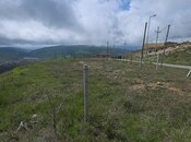 Elan №6068411 - Şamaxı, Şamaxı, 12 sot