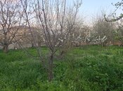 6 otaqlı həyət evi/bağ evi - Şamaxı - 200 m²