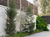 6 otaqlı həyət evi/bağ evi - Mərdəkan q. - 160 m²