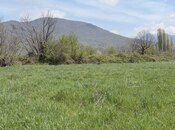 Satılır  torpaq 35 sot, photo 2 from 8