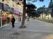 Сдаётся  объект 75 м², м. Кара Караев, photo 6 from 8