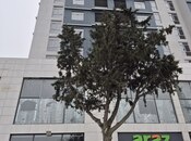 Продаётся 2-комн. новостройка 87.4 м², photo 6 from 8