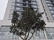 Продаётся 2-комн. новостройка 87.4 м², photo 5 from 8
