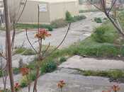 Продаётся  участок 100 сот, м. 20 января, photo 6 from 8