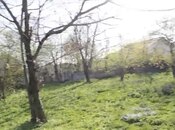 Torpaq - Qəbələ - 20 sot