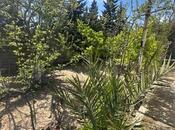 Продаётся  участок 6 сот, пос. Бильгях, photo 1 from 5