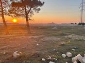 Продаётся  участок 300 сот, пос. Мамедли, photo 1 from 4