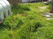 Satılır  torpaq 5.3 sot, Badamdar q., photo 3 from 5