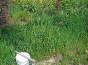 Satılır  torpaq 5.3 sot, Badamdar q., photo 4 from 5