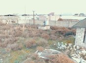 Torpaq - Salyan - 163 sot