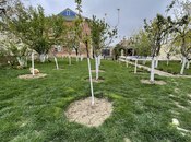 Сдаётся 5-комн. дом/дача 240 м², пос. Новханы, photo 3 from 8