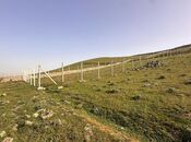 Satılır  torpaq 10 sot, Novxanı q., photo 2 from 5