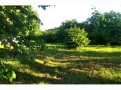 3 otaqlı həyət evi/bağ evi - Qax - 140 m²