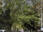 Продаётся 3-комн. вторичка 90 м², м. Ичеришехер, photo 3 from 8